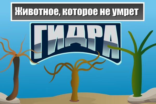 Кракен точка ат